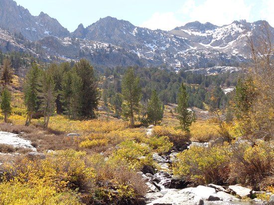 Humboldt National Forest