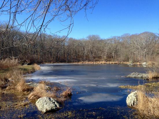 Norman Bird Sanctuary