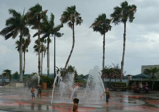 Royal Palm Pointe Park