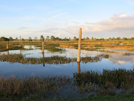 Ritch Grissom Memorial Wetlands
