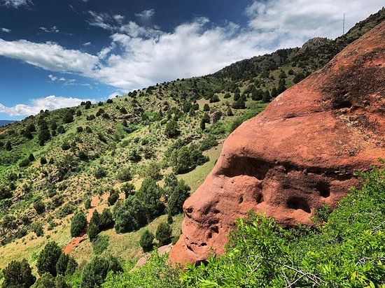 Matthews / Winters Park