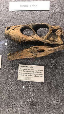 Mesalands Community College's Dinosaur Museum and Natural Sciences Laboratory