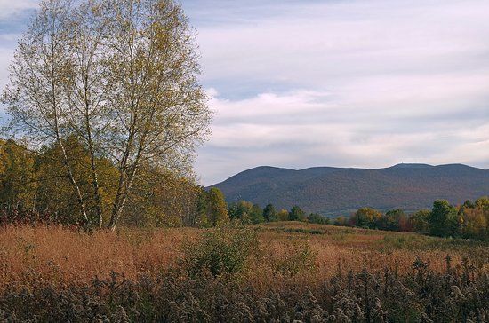 Mountain Meadow Preserve