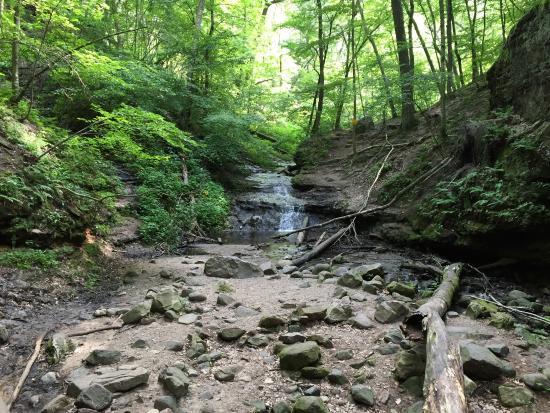 Parfrey's Glen