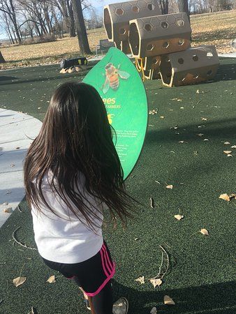 Patterson Lake Recreational Area