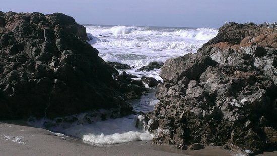 Pescadero Marsh Natural Preserve
