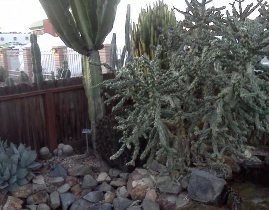 Wieghorst Western Heritage Center