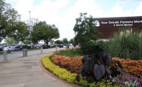 Your Dekalb Farmers Market