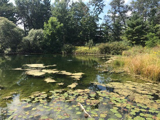Grayling Fish Hatchery Museum Project