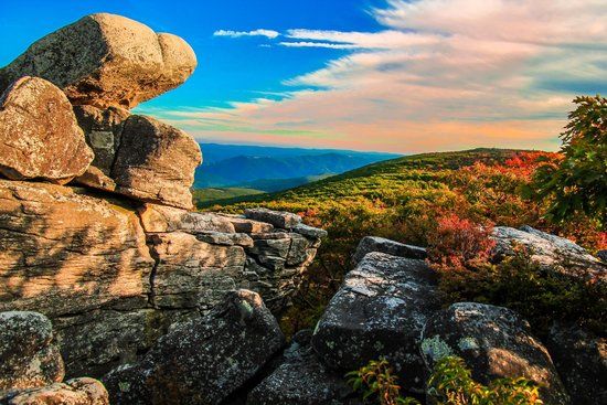 Dolly Sods Wilderness Area