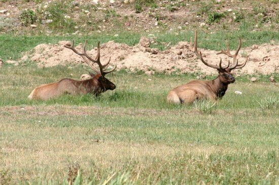 Bear River State Park