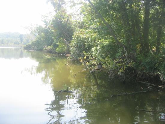 Dutch Gap Conservation Area