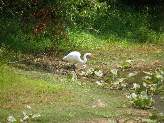Occoquan National Wildlife Refuge