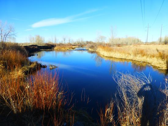 South Platte Park and the Carson Nature Center