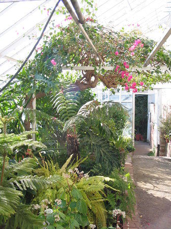 Lyman Estate Greenhouses