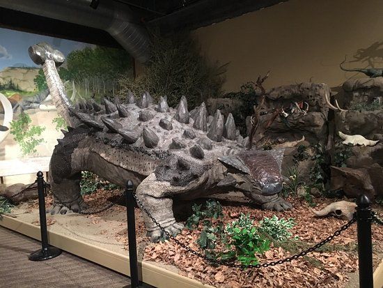 Glendive Dinosaur and Fossil Museum