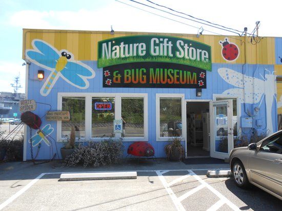 Bremerton Bug and Reptile Museum