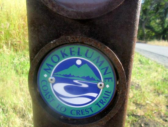 The Mokelumne Wilderness