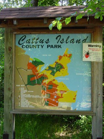 Cattus Island County Park