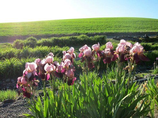 University of Idaho Arboretum & Botanical Garden