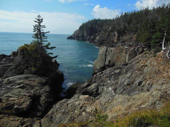 Quoddy Head State Park
