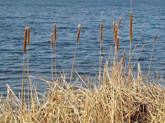 Fish Lake Regional Park