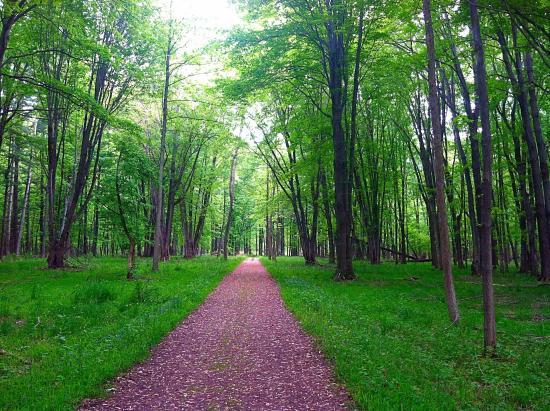 Mentor Lagoons Nature Preserve
