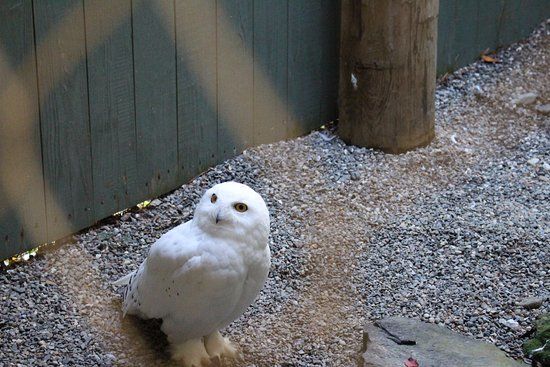 Vermont Institute of Natural Science Nature Center