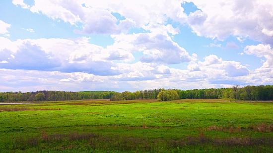 Seneca Meadows Wetlands Preserve
