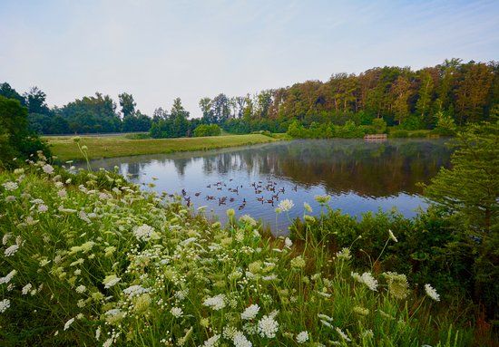 Mid-Lothian Mines Park