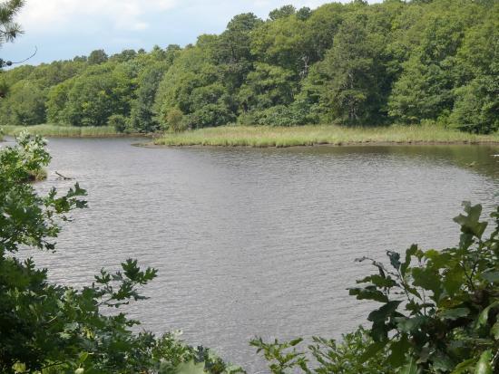 Mashpee River Reservation