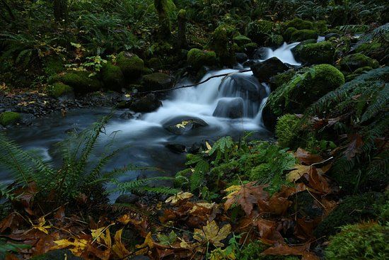 Dry Creek Falls Hike