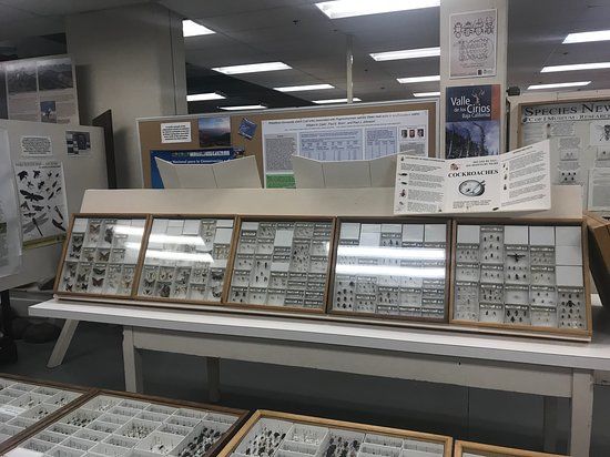 Orma J Smith Museum of Natural History