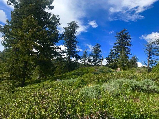 Heavens Gate Lookout