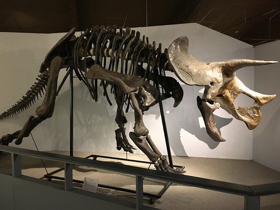 Pioneer Trails Regional Museum