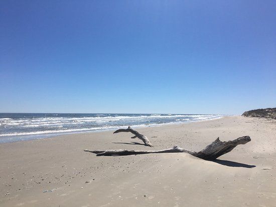 Matagorda Island Wildlife Management Area