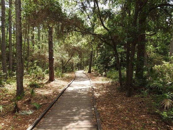 Dauphin Island Audubon Bird Sanctuary