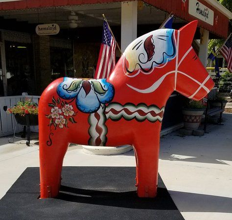 Wild Dala Horse Herd