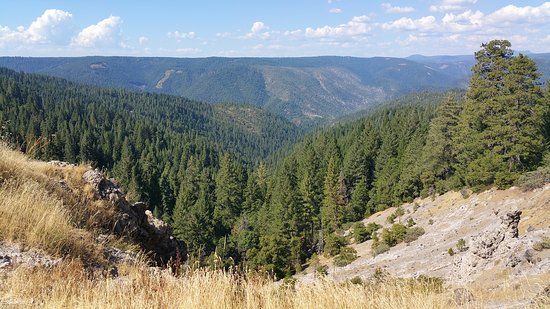 Tahoe National Forest