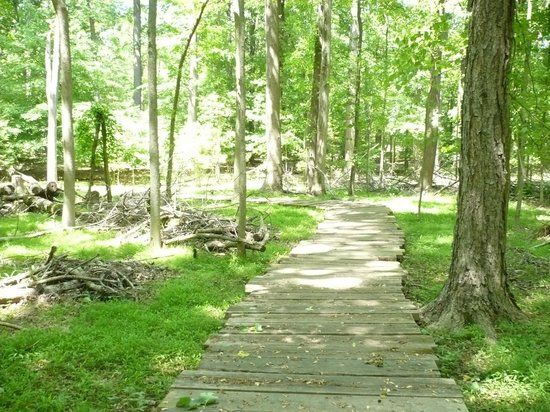 Greenbelt National Park