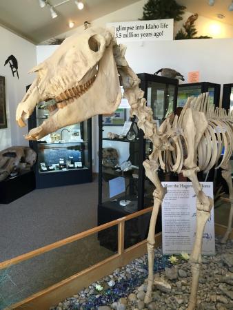 Hagerman Fossil Beds National Monument