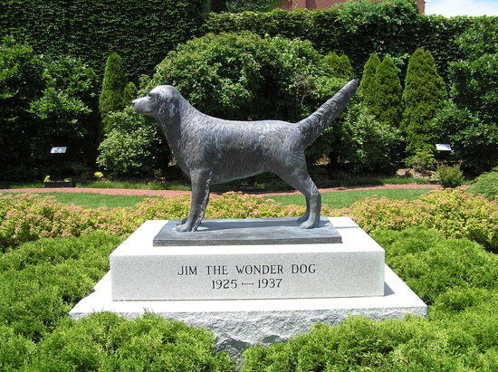 Jim The Wonder Dog Memorial Garden