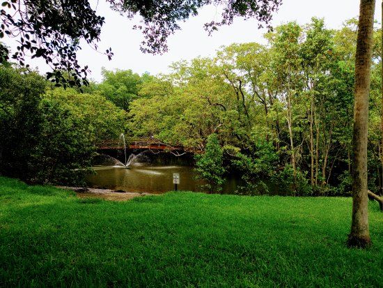 Enchanted Forest Elaine Gordon Park