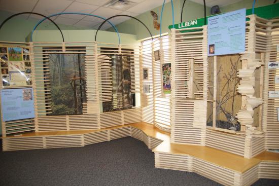 The Children's Museum of Science and Technology