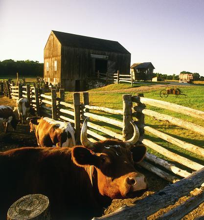 Oliver H. Kelley Homestead