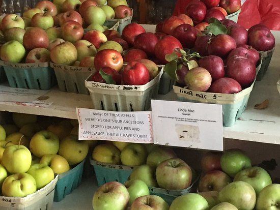 Christmas Cove Farms