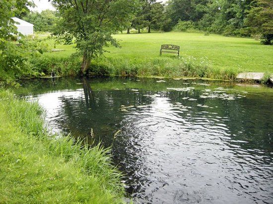 Wilderness Springs Trout Farm