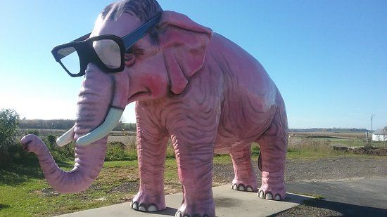 Pink Elephant
