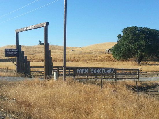 Farm Sanctuary