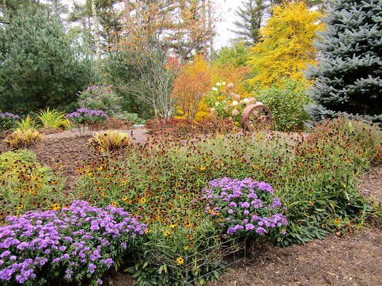 Cathedral of the Pines